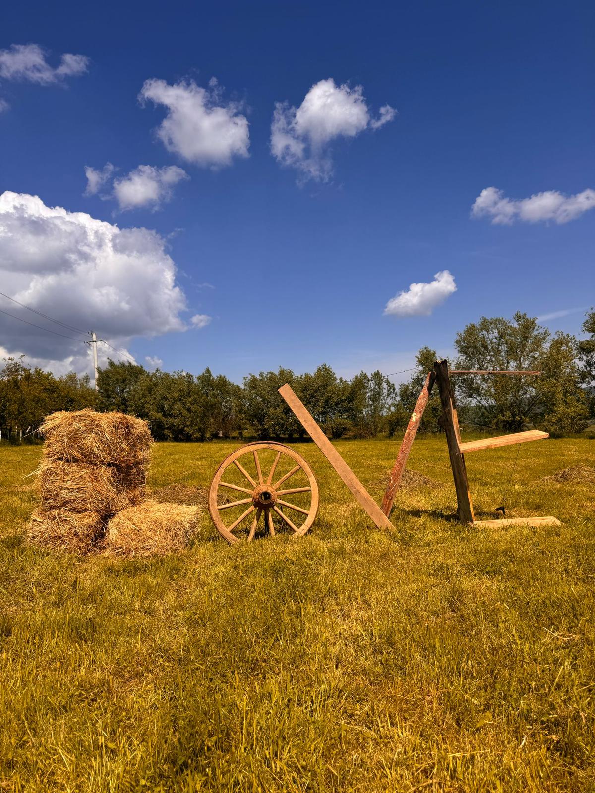 Imagine Viziune Cobi Concept