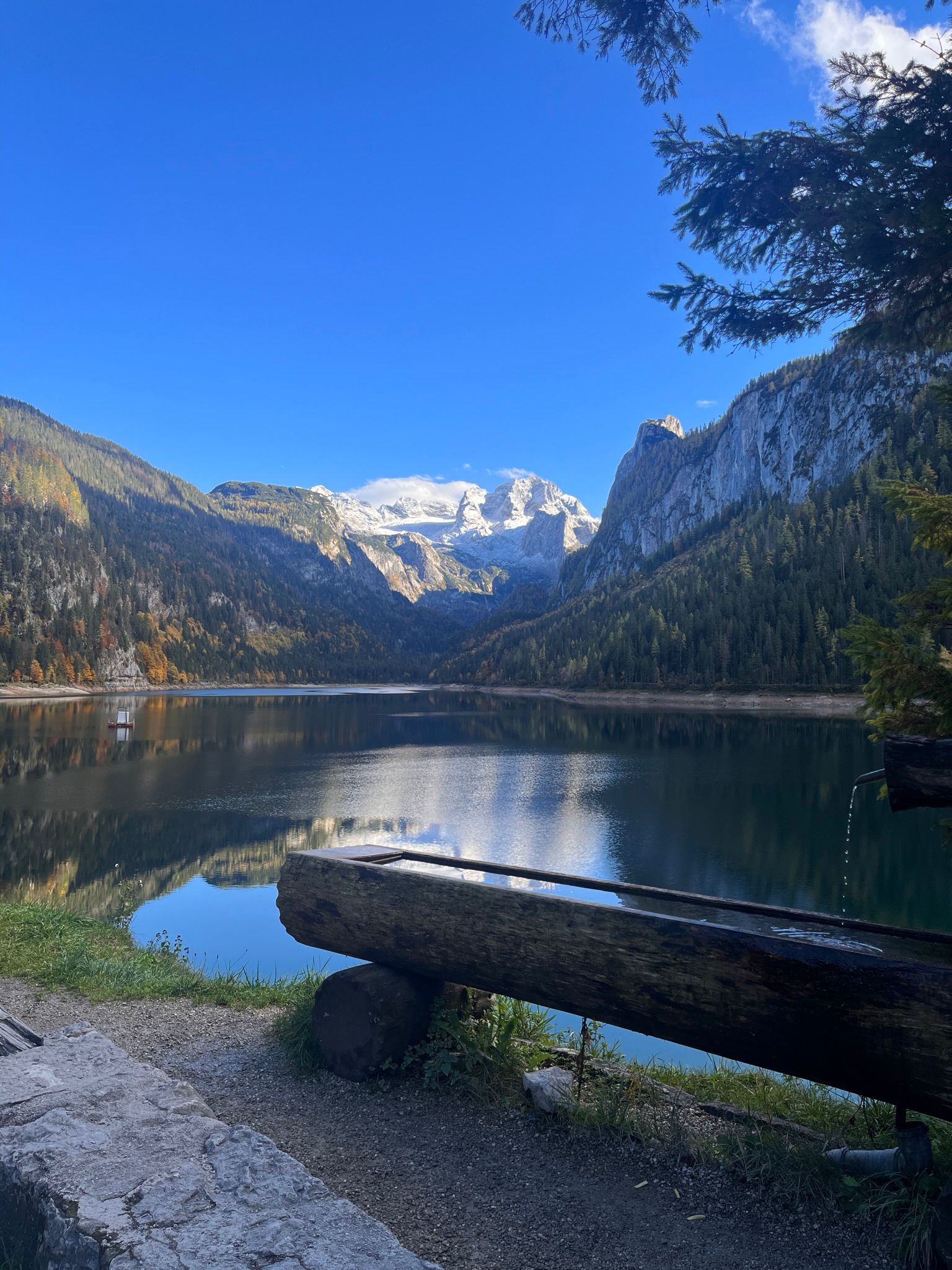 O imagine reprezentativă pentru Inovație. Calitate. Parteneriat.